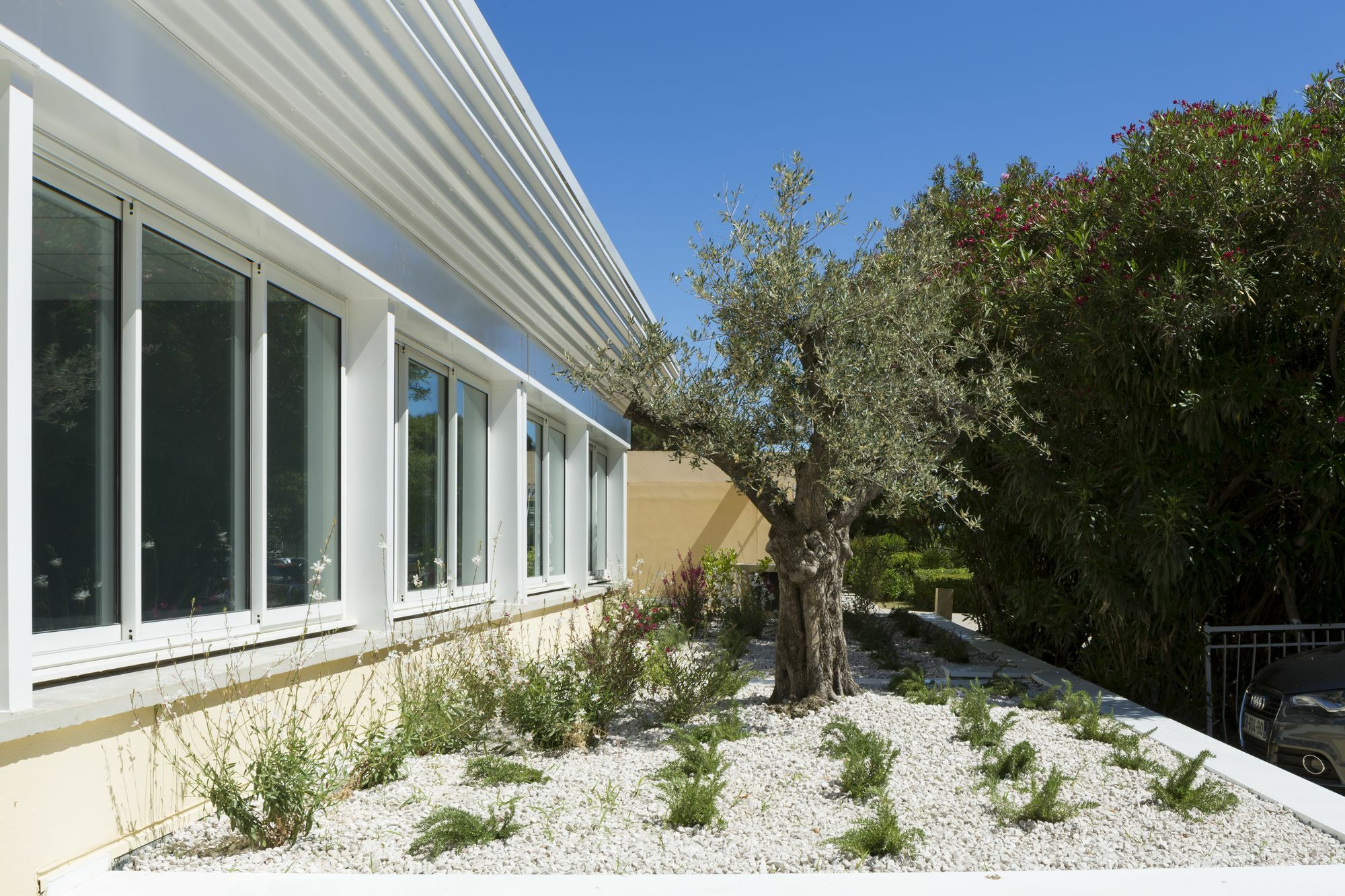 Logis Hotel Les Pins - Operalia Balaruc-les-Bains Eksteriør billede
